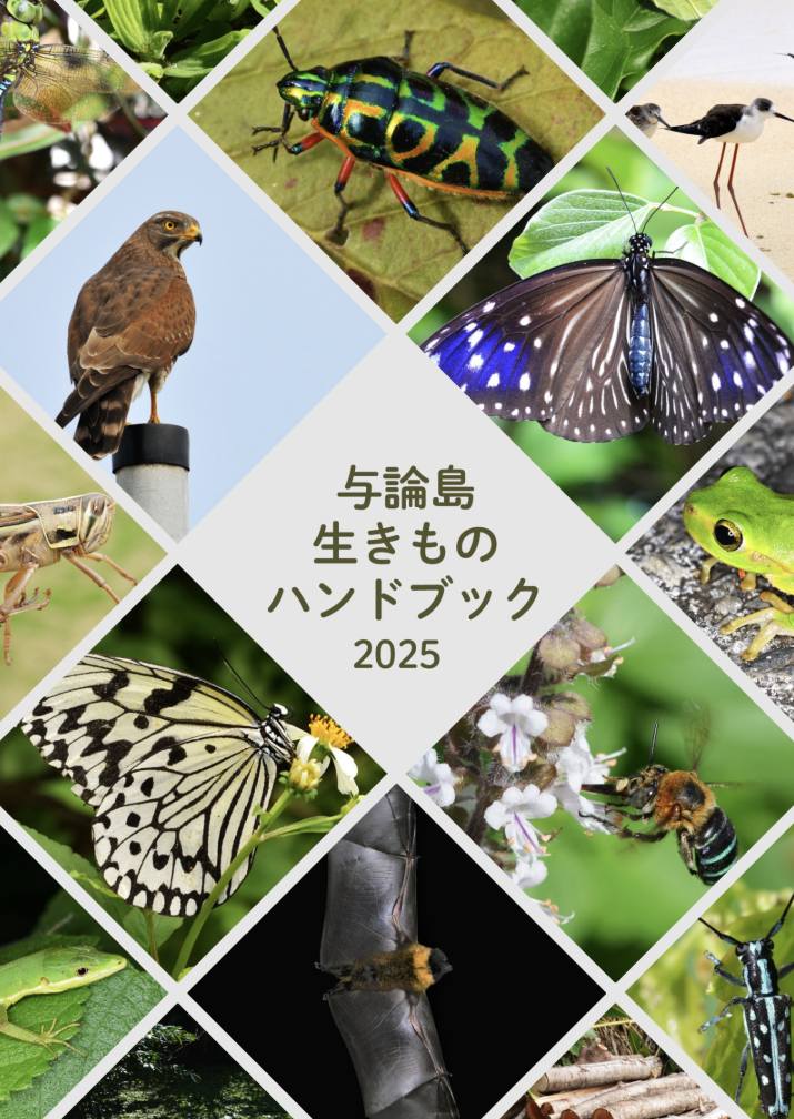 与論島生きものハンドブック2025〜デジタル版〜 写真